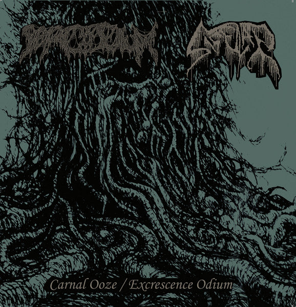 Sarcosium / Saccular : Carnal Ooze / Excrescence Odium (CDr)